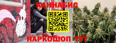 apvp Краснодар