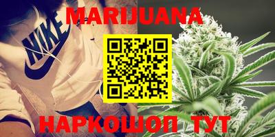 apvp Краснодар