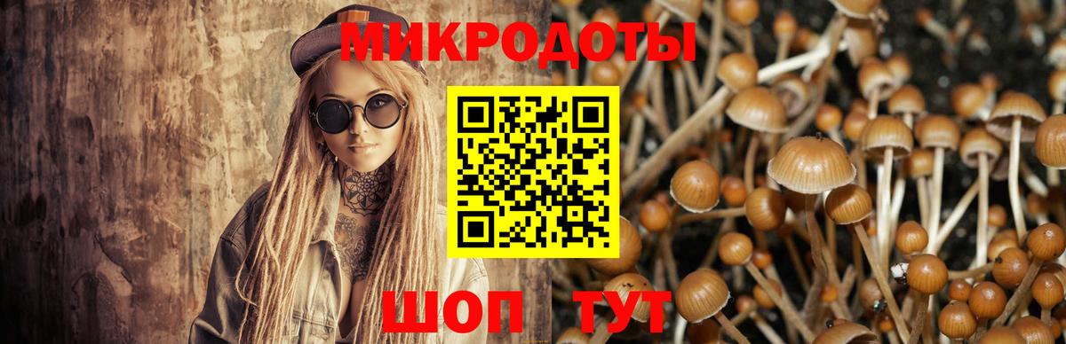 Псилоцибиновые грибы Magic Shrooms  Вход с VPN  Железногорск 