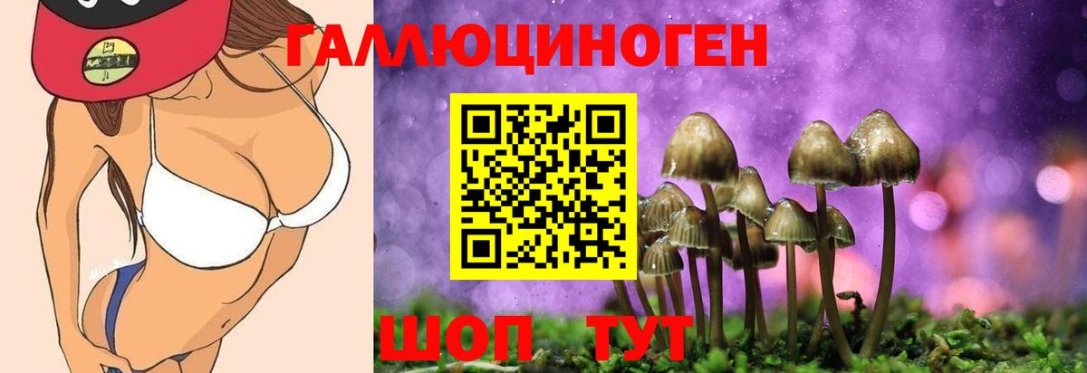 Псилоцибиновые грибы Magic Shrooms Железногорск